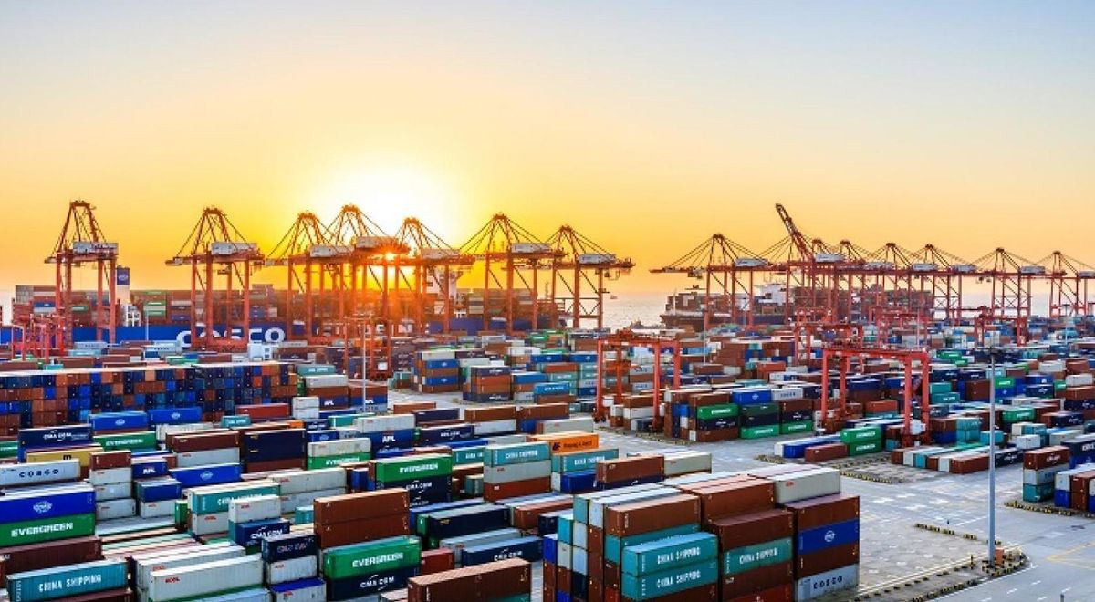 Commercial, Operational & Port Performance Advisory